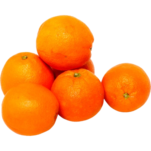 SM Bonus U Navel Orange #88 | 3pcs
